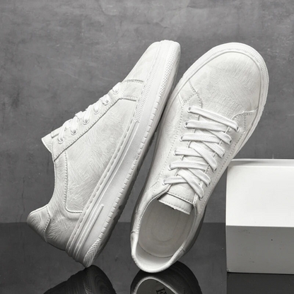 Klasyczne niskie trampki casual Belmont